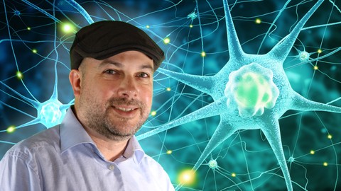 Top listing blocks and reviews